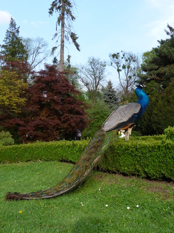 P1060543.JPG
