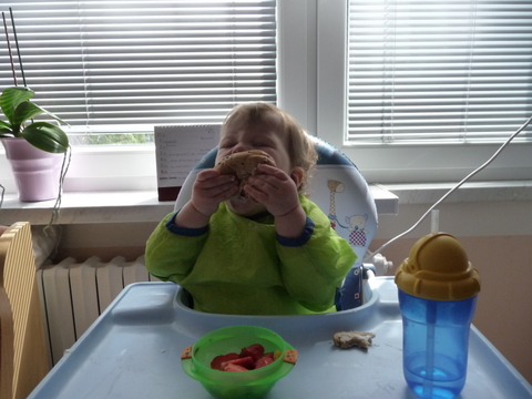 P1060664.JPG