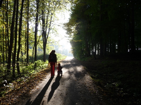 P1070751.JPG