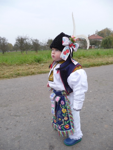 P1070874.JPG