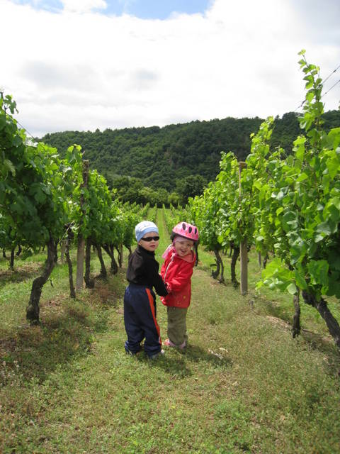 Podmoli2011_114